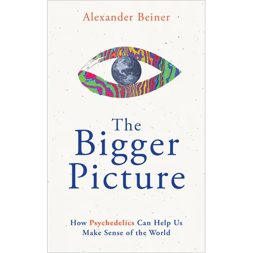 The Bigger Picture: How Psychedelics Can Help Us Make Sense of the World - Paperback