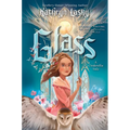 Glass: A Cinderella Tale - Hardcover