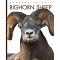Bighorn Sheep - Library Binding