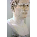 The Gallic Wars - Hardcover
