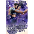 Broomstick Breakdown - Paperback
