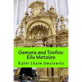 Gemara and Tosfos: Eilu Metzios - Paperback