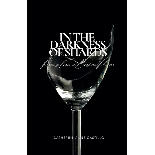 In the Darkness of Shards: Poems from a Broken Place - Paperback