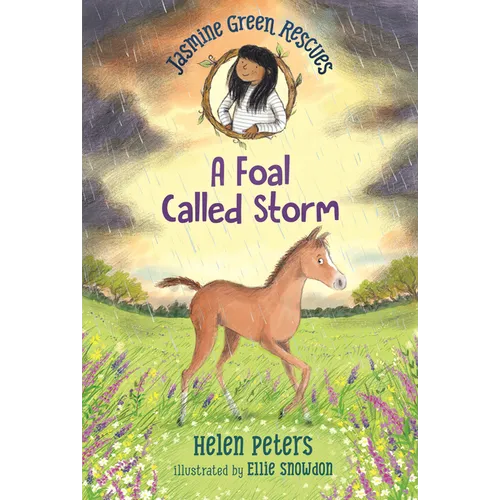 Jasmine Green Rescues: A Foal Called Storm - Paperback