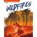 Wildfires - Library Binding