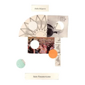 Suite Panamericana - Paperback