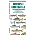 British Columbia Freshwater Fishes, 2nd Ed: A Folding Pocket Guide to Native and Introduced Species - Paperback