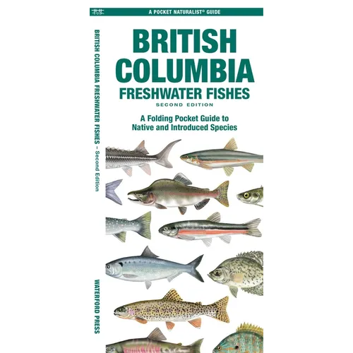 British Columbia Freshwater Fishes, 2nd Ed: A Folding Pocket Guide to Native and Introduced Species - Paperback
