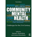 Community Mental Health: Challenges for the 21st Century - Paperback