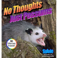 No Thoughts Just Possums: 90 Hilarious Memes - Hardcover