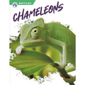 Chameleons - Paperback