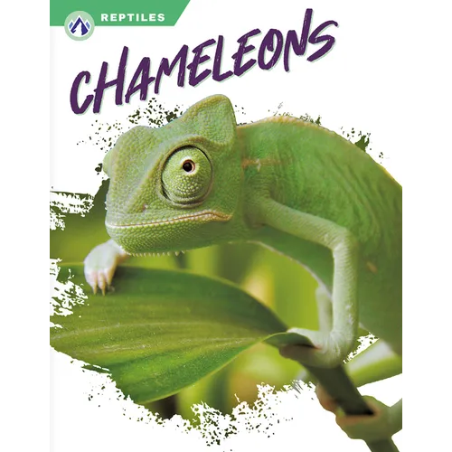 Chameleons - Paperback