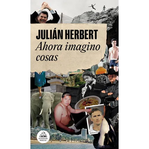 Ahora Imagino Cosas / Now I Imagine Things - Paperback