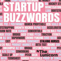 Startup Buzzwords - Paperback