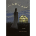 For the Lost Cathedral: Poems - Paperback