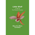 Little Wolf: A Tale of the Western Frontier - Paperback