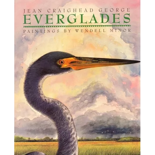 Everglades - Paperback