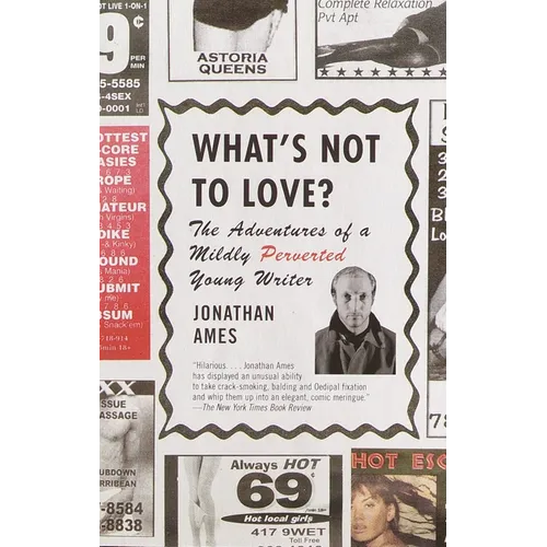 What's Not to Love?: The Adventures of a Mildly Perverted Young Writer - Paperback