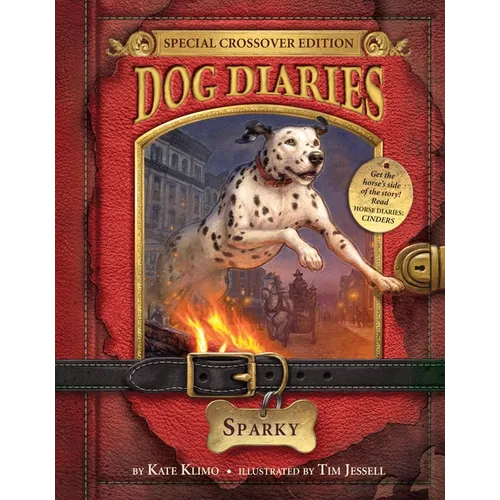 Dog Diaries #9: Sparky (Dog Diaries Special Edition) - Paperback
