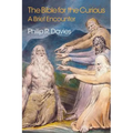 The Bible for the Curious: A Brief Encounter - Paperback