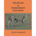 Wildlife in Persimmon Paradise - Paperback
