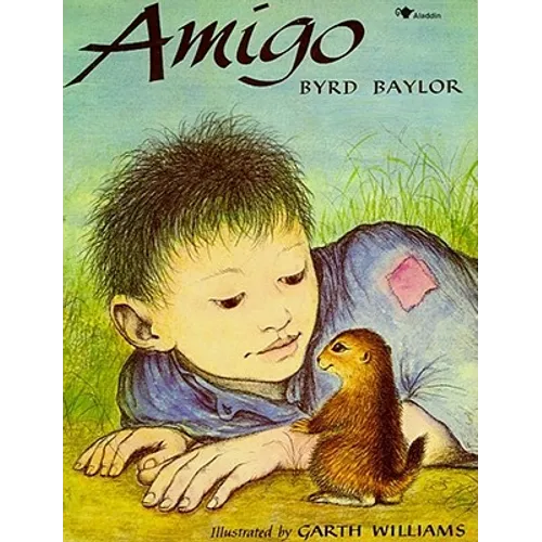 Amigo - Paperback