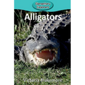 Alligators - Paperback