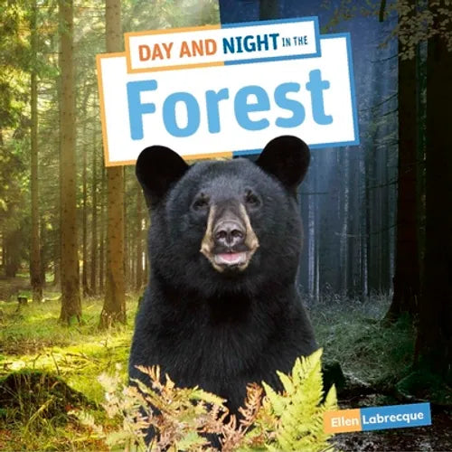 Day and Night in the Forest - Paperback