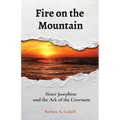 Fire on the Mountain: Sister Josephine and the Ark of the Covenant - Paperback