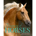 Dreaming of Horses - Paperback