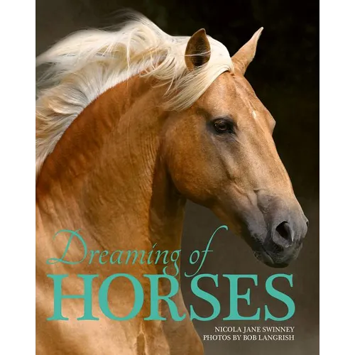 Dreaming of Horses - Paperback