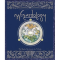 Wizardology: The Book of the Secrets of Merlin - Hardcover