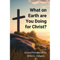 What on Earth are you Doing for Christ? - Paperback