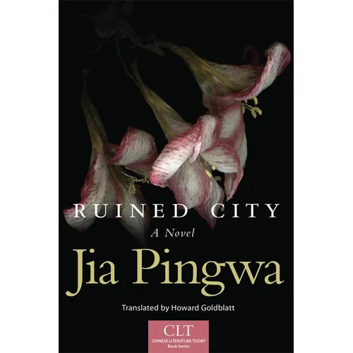 Ruined City: A Novel Volume 5 - Paperback