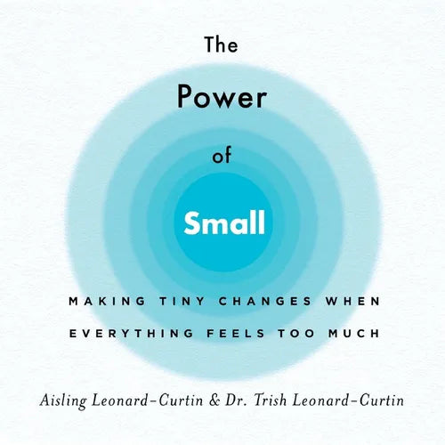 The Power of Small: Making Tiny Changes When Everything Feels Too Much - Paperback