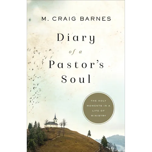 Diary of a Pastor's Soul - Paperback