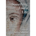 Something Like a Life - Paperback