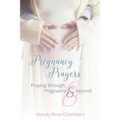 Pregnancy Prayers: Praying Through Pregnancy and Beyond - Paperback