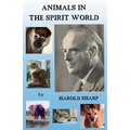 Animals in the Spirit World - Paperback