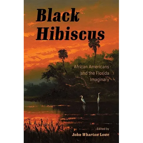 Black Hibiscus: African Americans and the Florida Imaginary (Hardback) - Hardcover