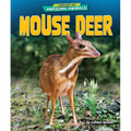 Mouse Deer - Library Binding