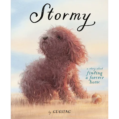 Stormy: A Story about Finding a Forever Home - Hardcover