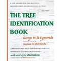 Tree Identification - Paperback