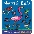 Hooray for Birds! - Board Book