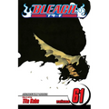 Bleach, Vol. 61: The Last 9 Days - Paperback