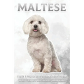 Maltese: Fun Facts on Dogs for Kids #31 - Paperback