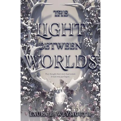 The Light Between Worlds - Hardcover