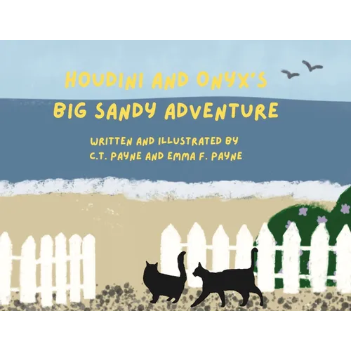 Houdini and Onyx's Big Sandy Adventure - Paperback