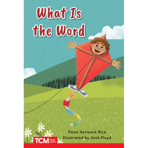 What Is the Word?: Prek/K: Book 28 - Paperback