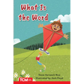 What Is the Word?: Prek/K: Book 28 - Paperback